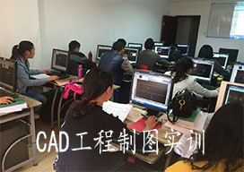 Auto cad与天正cad实训课